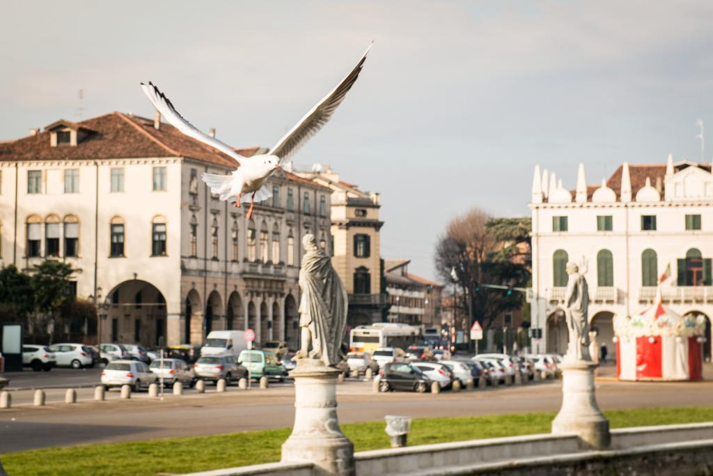 Myplace Prato Della Valle Apartments パドヴァ エクステリア 写真